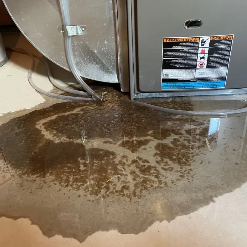 Pipe Burst and Leak Restoration in Liberty, KY
