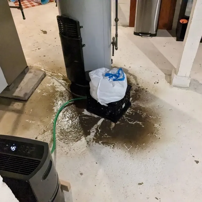 Sewage Backup Cleanup Service in Liberty, KY